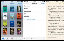 Лучшая читалка для iOS Программа для ipad для чтения fb2